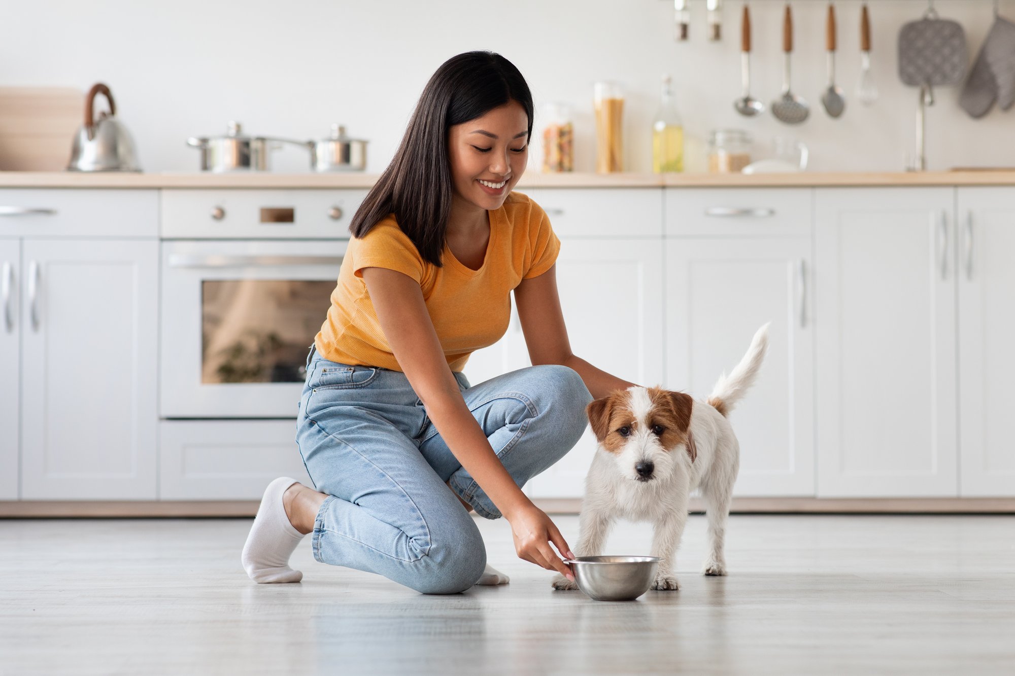 AdobeStock_470428637